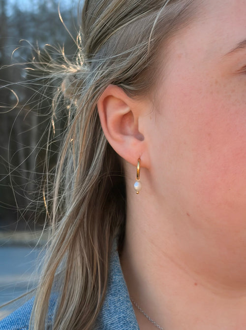 Charlotte hoop øredobber